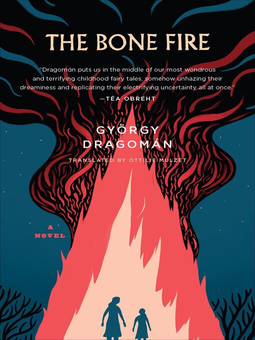 Cover image for The Bone Fire